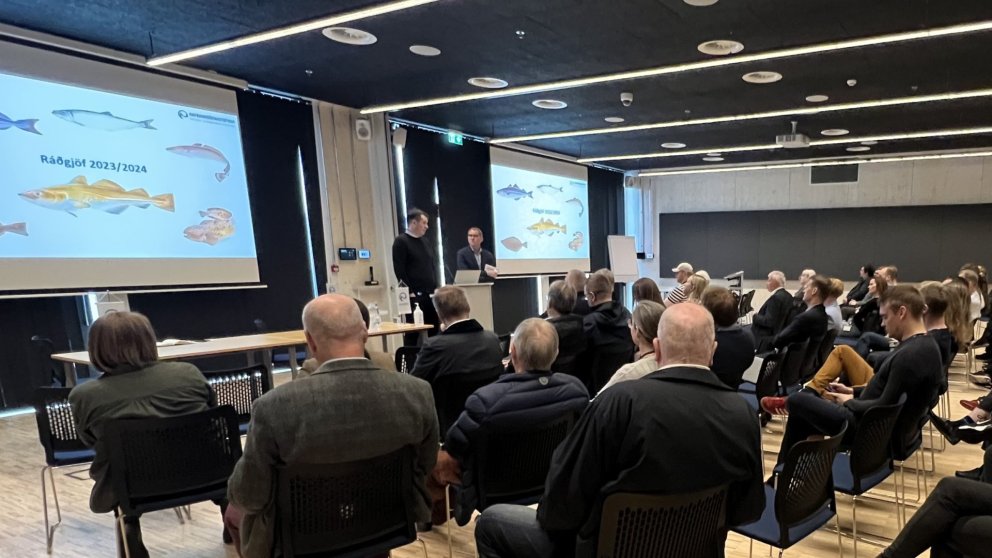 Ráðgjöfin 2023 hefur verið birt