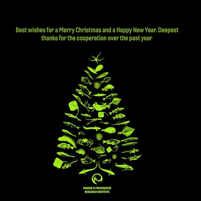 Merry Christmas and a Happy New Year