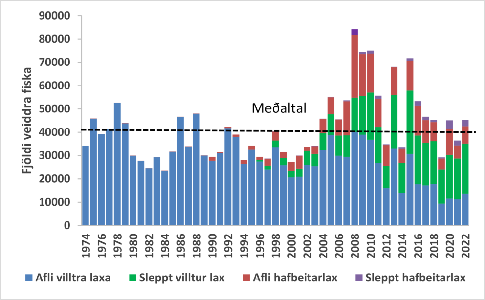 1. mynd. Stangveiði á laxi í íslenskum ám frá 1974 - 2022. Veiðinni er skipt í landaðan afla og veit…