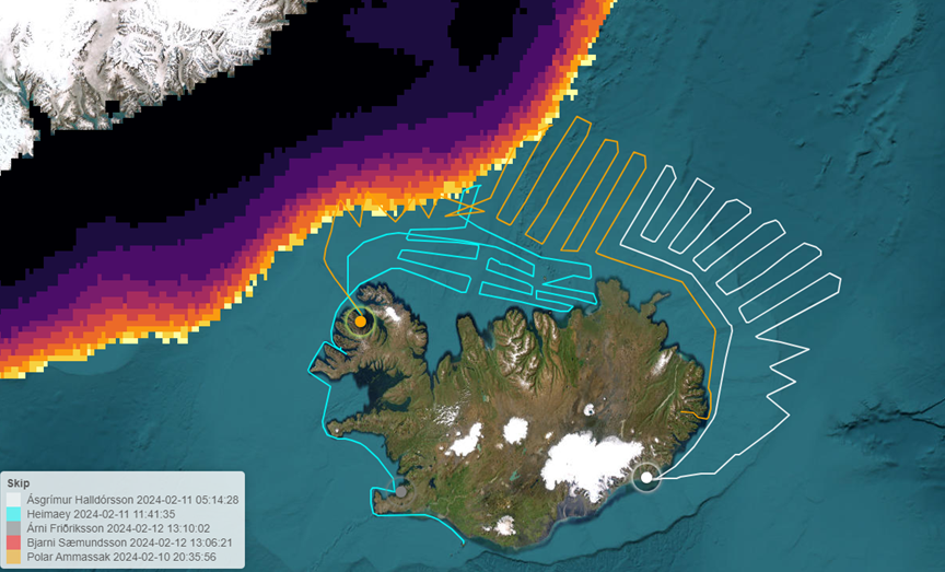 Mjög lítið hefur mælst af loðnu það sem af er þessari febrúar mælingu.