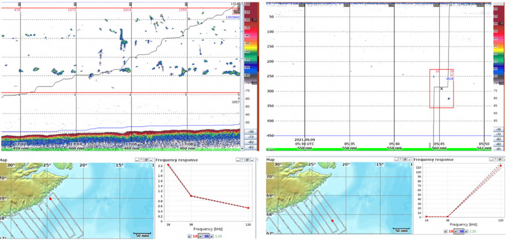 Mynd 1. Loðnutorfur (til vinstri) og ljósátutorfa (til hægri) með tíðnisvari úr yfirferð rs. Bjarna …