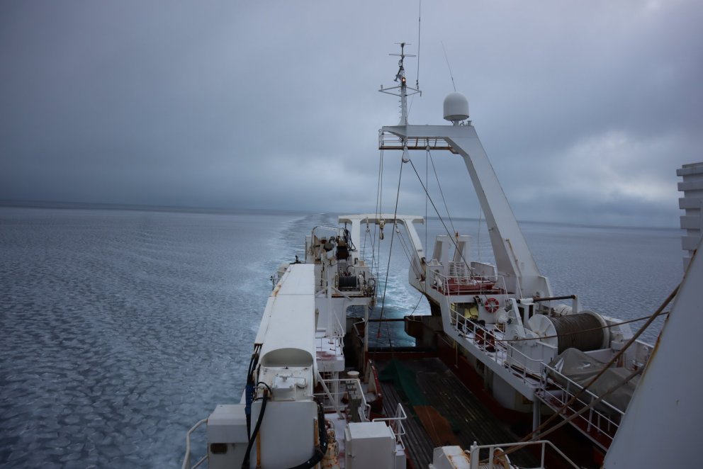 Árni Friðriksson við mælingar innan um “pönnukökuís” í Grænlandssundi. 
Ljósm. Birkir Bárðarson.
