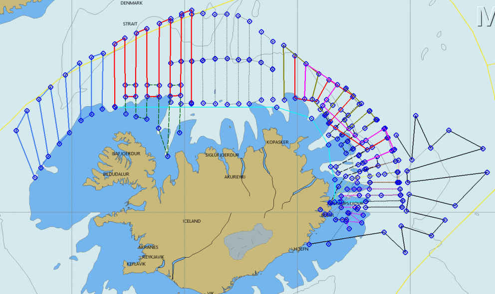 Áætlaðar leiðarlínur skipanna sem eru nú við loðnumælingar
