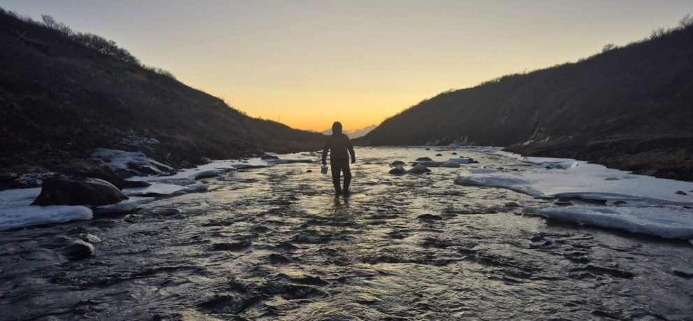 Síðustu erfðasýnatökur ársins úr laxseiðum