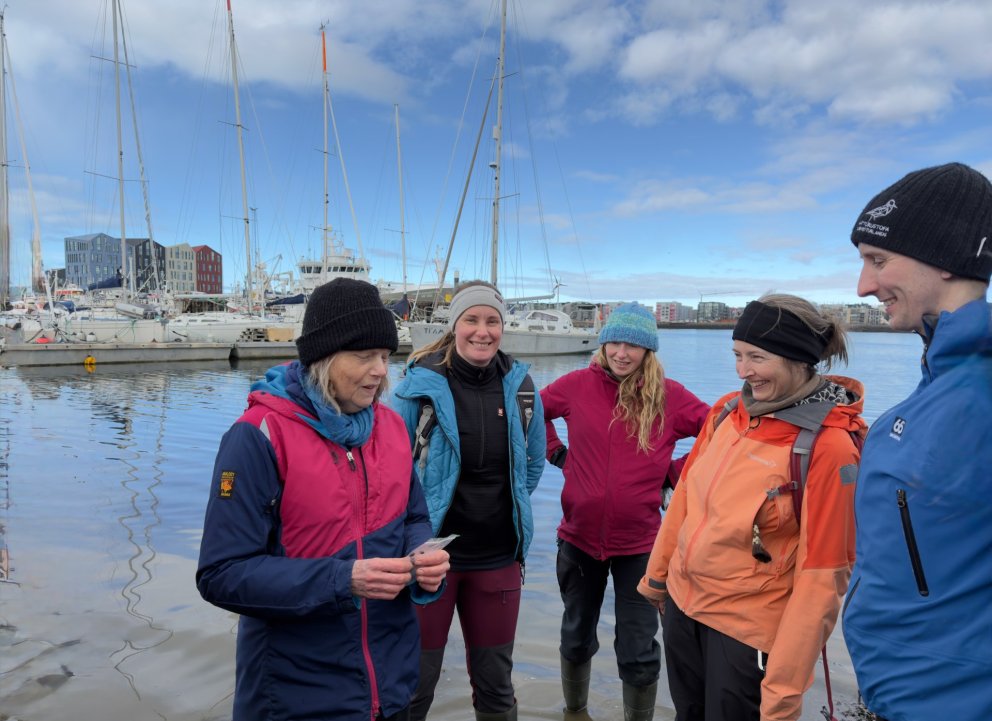 Þéttsetið þörunganámskeið Hafrannsóknastofnunar og Icewater