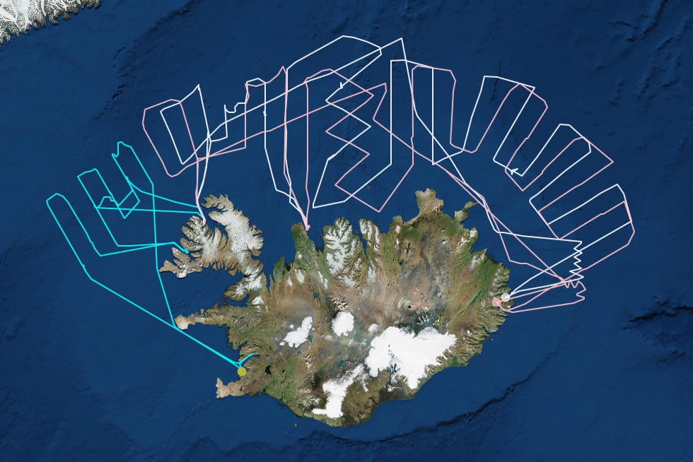 Leiðarlínur þátttakenda í loðnuleiðangri dagana 4. – 16. janúar.