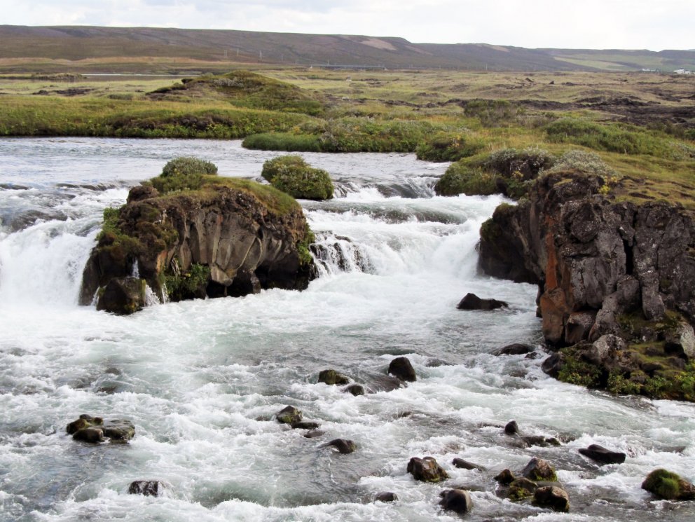 Ljósm. Hafrannsóknastofnun
