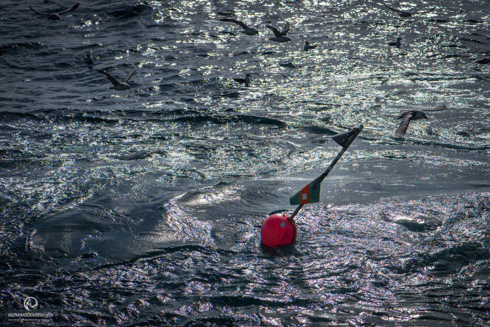 Ráðgjöf fiskveiðiárið 2018/2019 kynnt