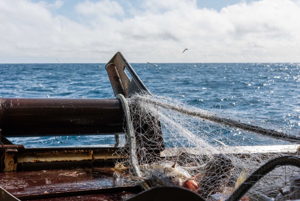 Ljósm. Svanhildur Egilsdóttir