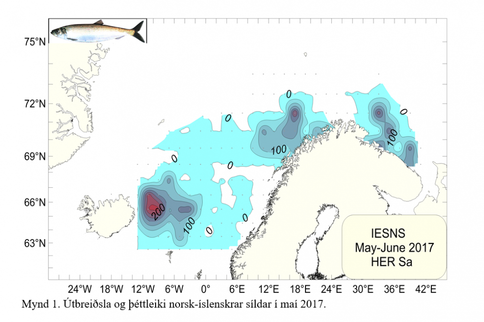 Lækkun á vísitölum norsk-íslenskrar síldar