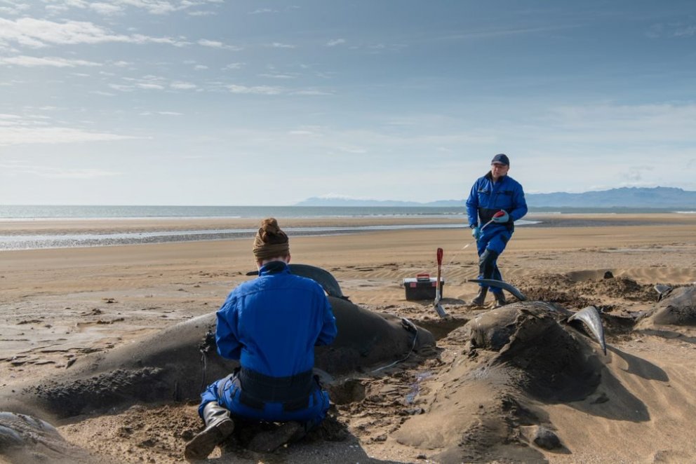 Ljósm. Svanhildur Egilsdóttir