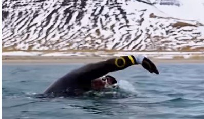 The Great Scientific Swim around Iceland
