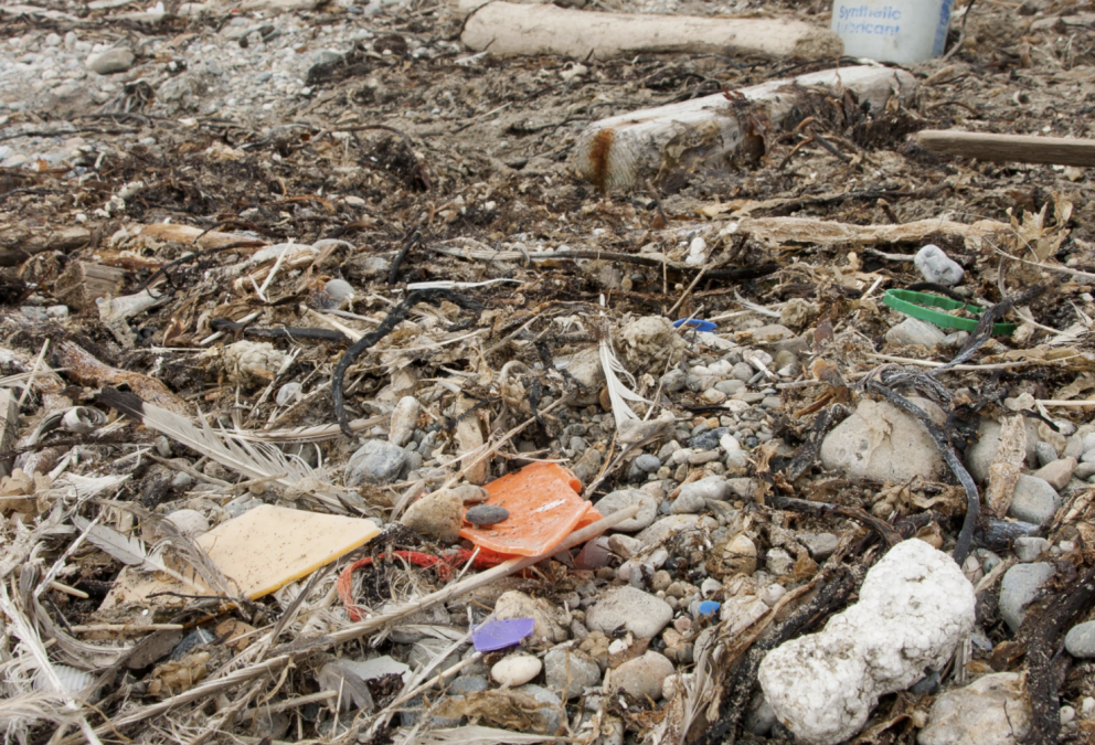 Mynd er klippt af ráðstefnuvef