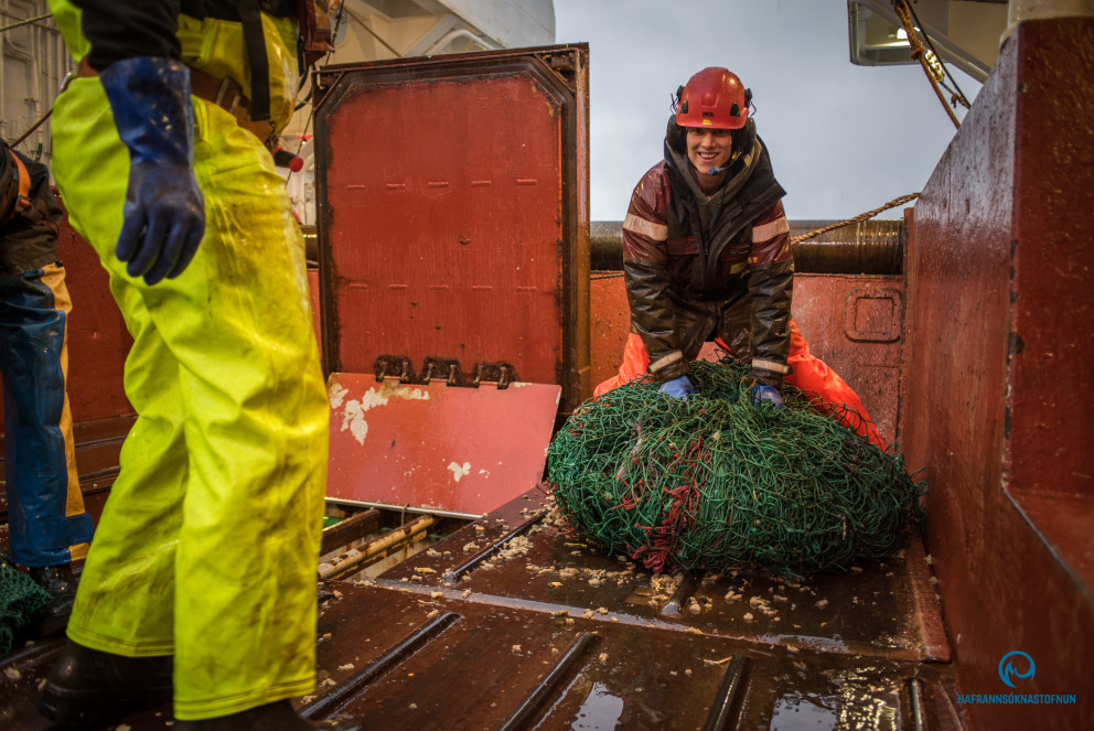 Mat á meðafla fugla og sjávarspendýra í grásleppuveiðum