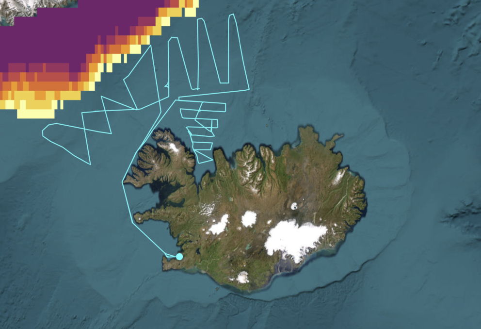 Leiðarlínur Árna Friðrikssonar 12.-21. febrúar ásamt dreifingu hafíss norðvestan við Ísland.