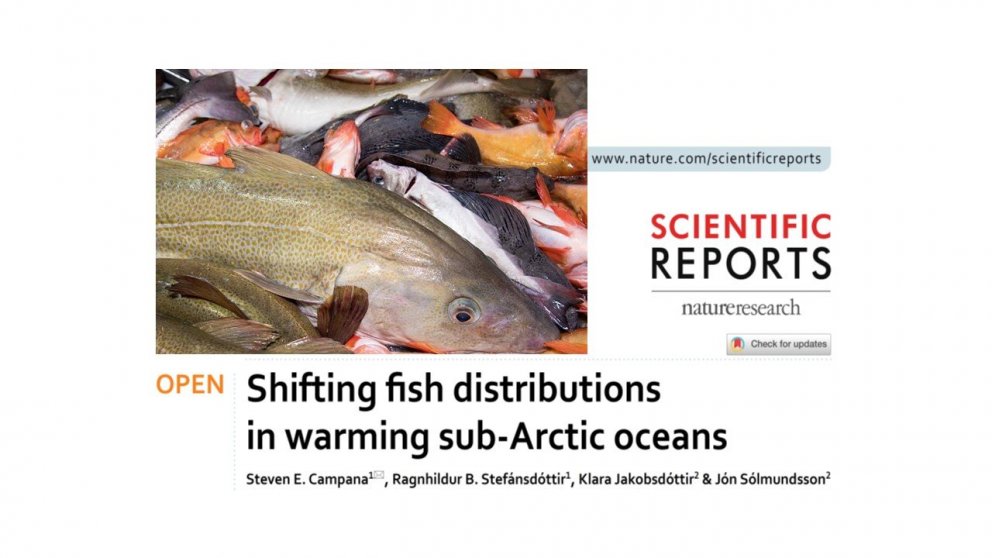 Mynd sem fylgir útgefinni grein.