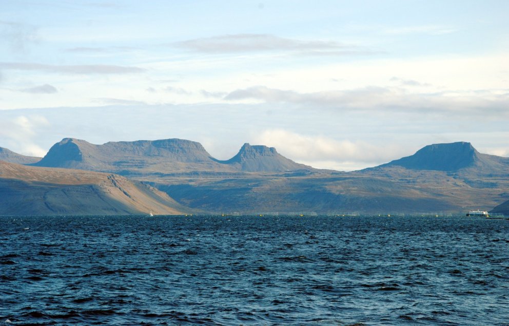 Úr Arnarfirði. (Mynd: Shutterstock)