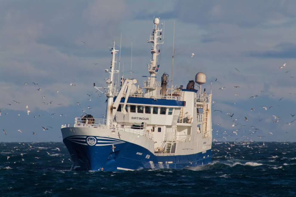 Capelin advice increased to 197 thousand tonnes