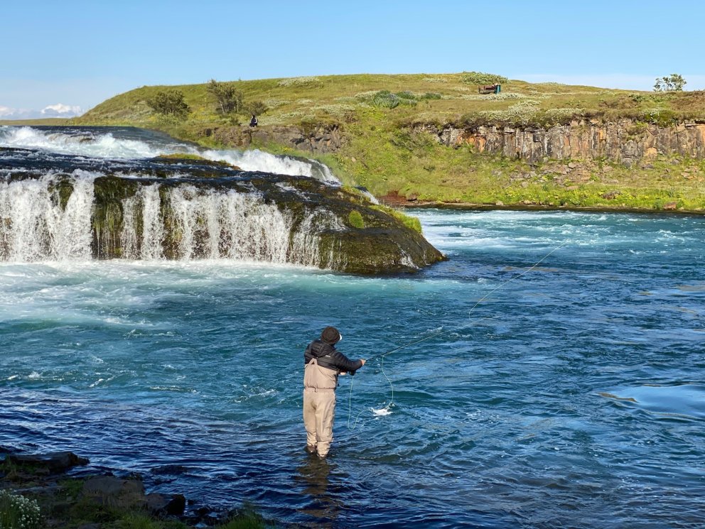 Bráðabirgðatölur fyrir stangveiði á laxi sumarið 2026