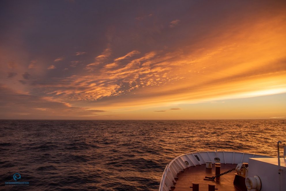 Ljósm. Svanhildur Egilsdóttir