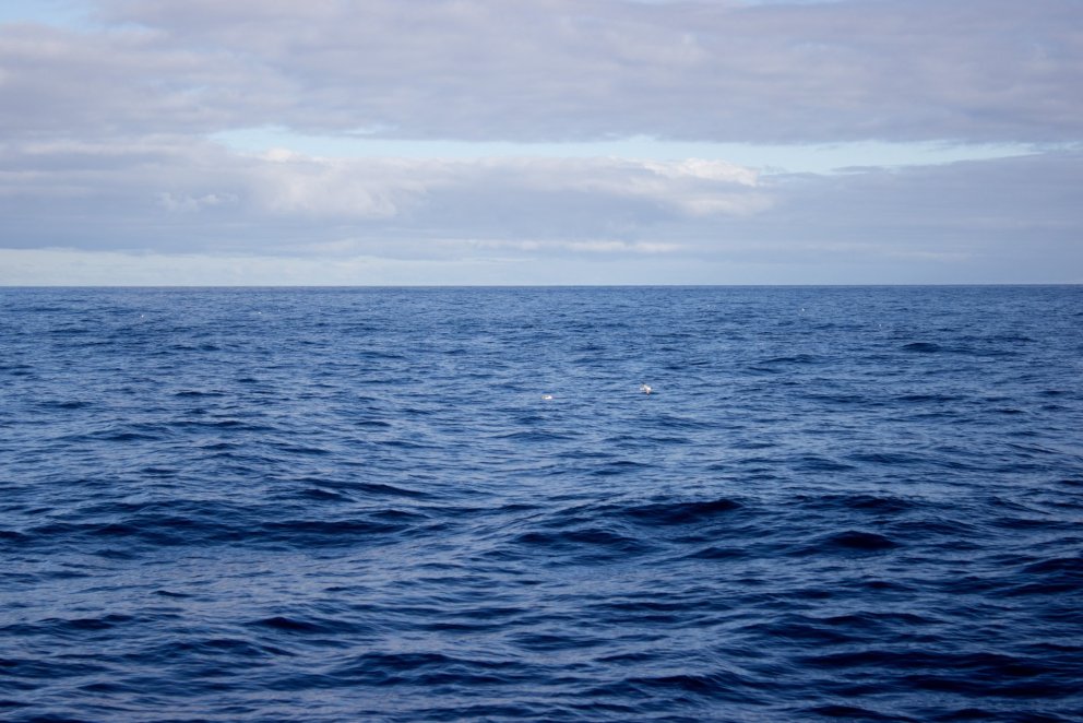 Hitastig sjávar á heimsvísu hefur aldrei mælst hærra