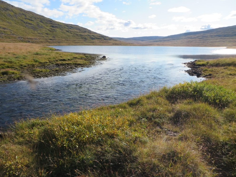 Upptaktur að veiðisumri