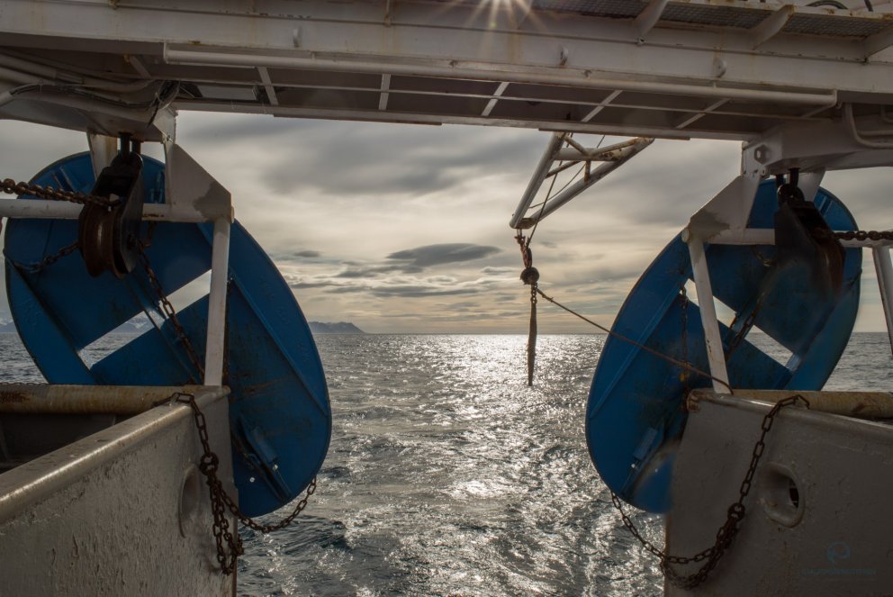 Image. Svanhildur Egilsdóttir.