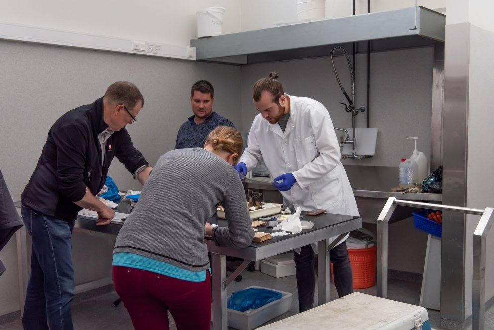 Ljósm. Hafrannsóknastofnun