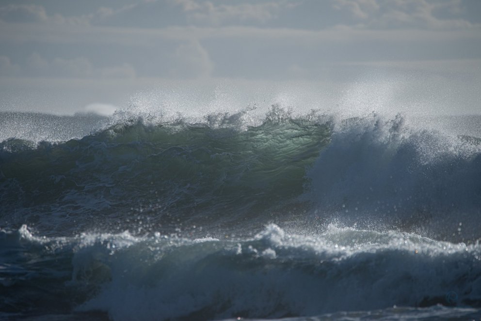 Ljósm. Svanhildur Egilsdóttir
