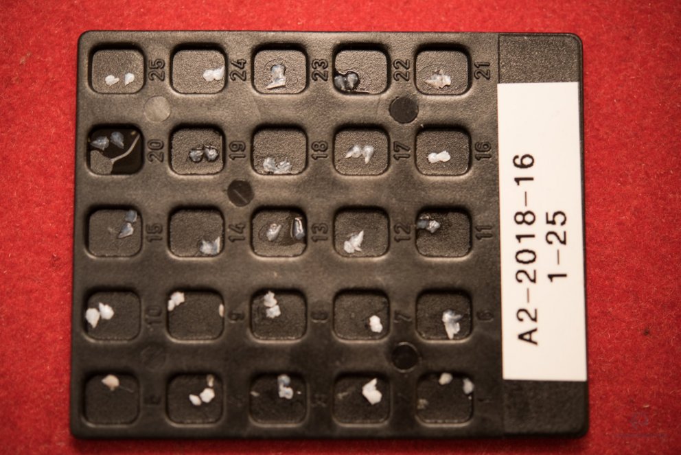 Photo. Svanhildur Egilsdóttir