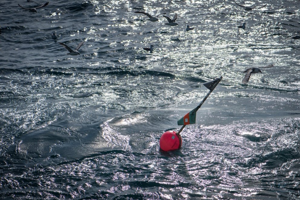 Ljósm. Svanhildur Egilsdóttir.