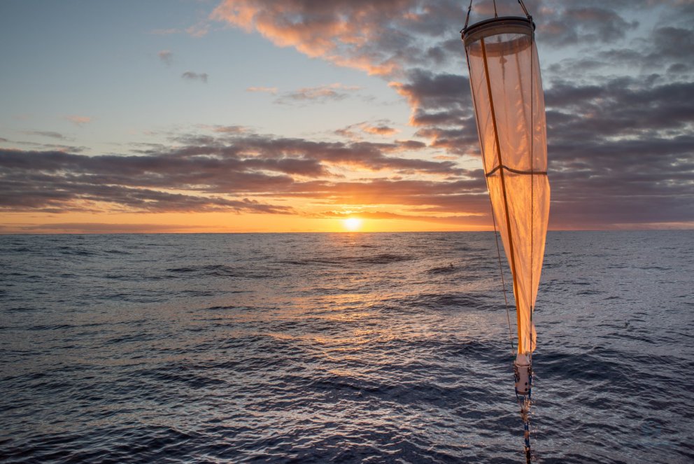 Ljósm. Svanhildur Egilsdóttir