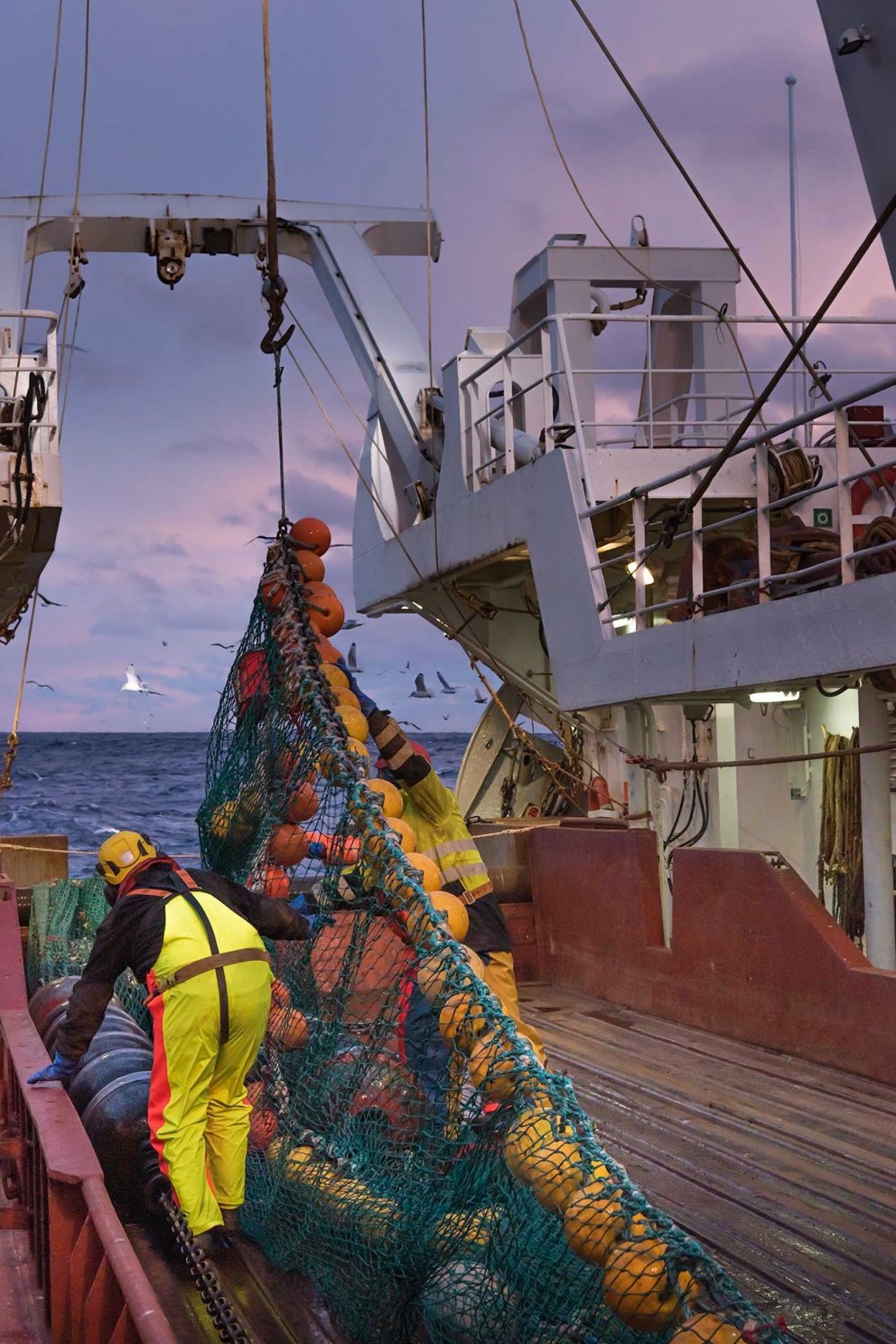 Ljósm. Svanhildur Egilsdóttir.