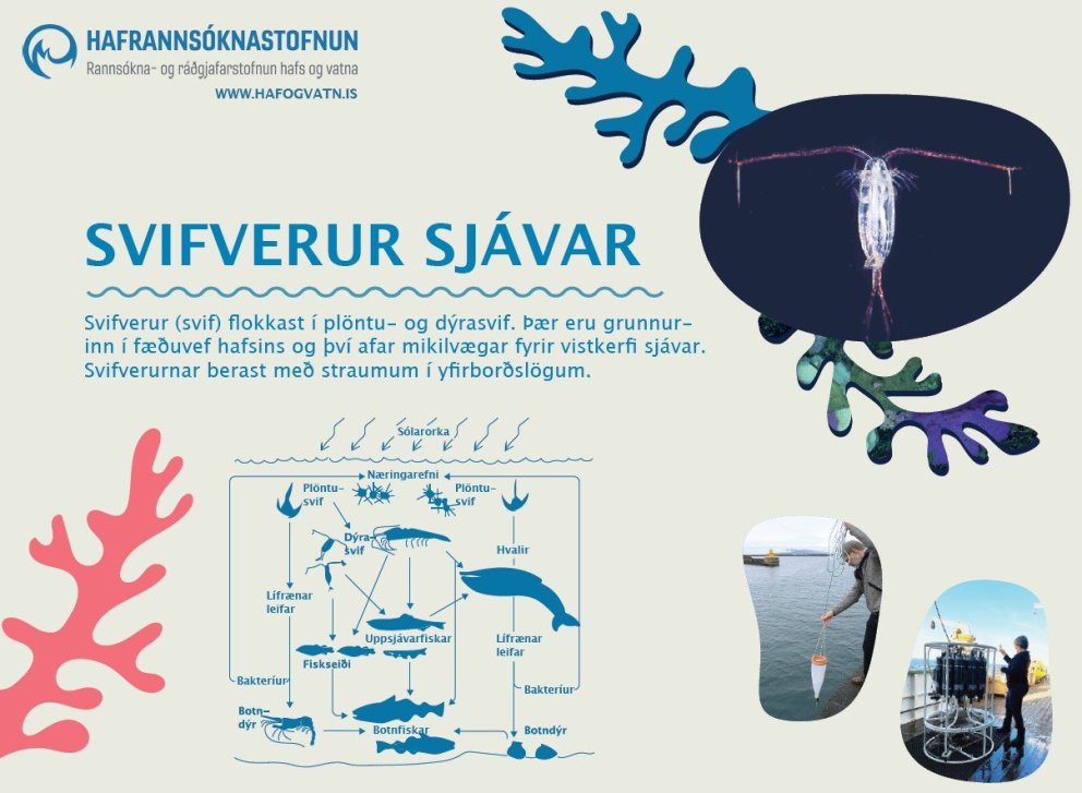 Svifverur sjávar á Vísindavöku í Laugardalshöll