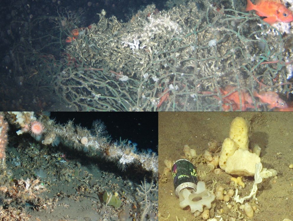 Dæmi um rusl sem fannst. Efst er trollnet sem fannst í Skeiðarárdjúpi árið 2019 flækt við kóralrif á…