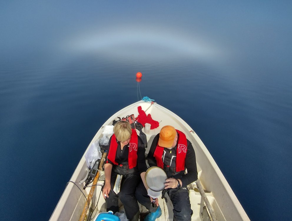 Sýnataka undir þokuboga á Þingvallavatni.