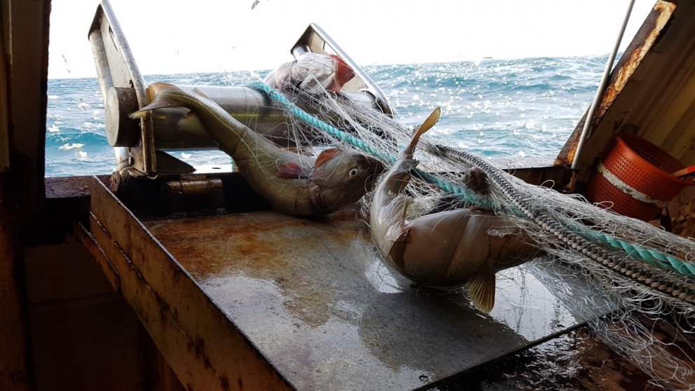 Ljósm. Valur Bogason.