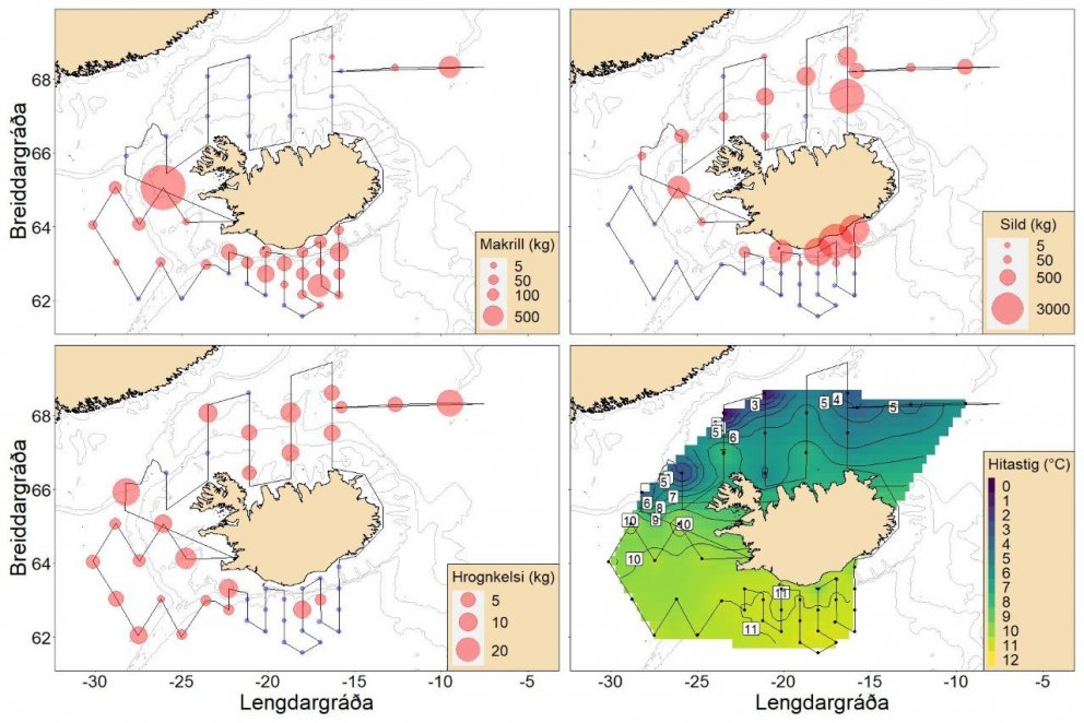 Útbreiðsla og þéttleiki makríls, síldar og hrognkelsa (rauðir fylltir hringir) ásamt hitastigi í yfi…