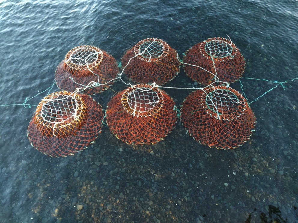 Ljósm. Ása Hilmarsdóttir