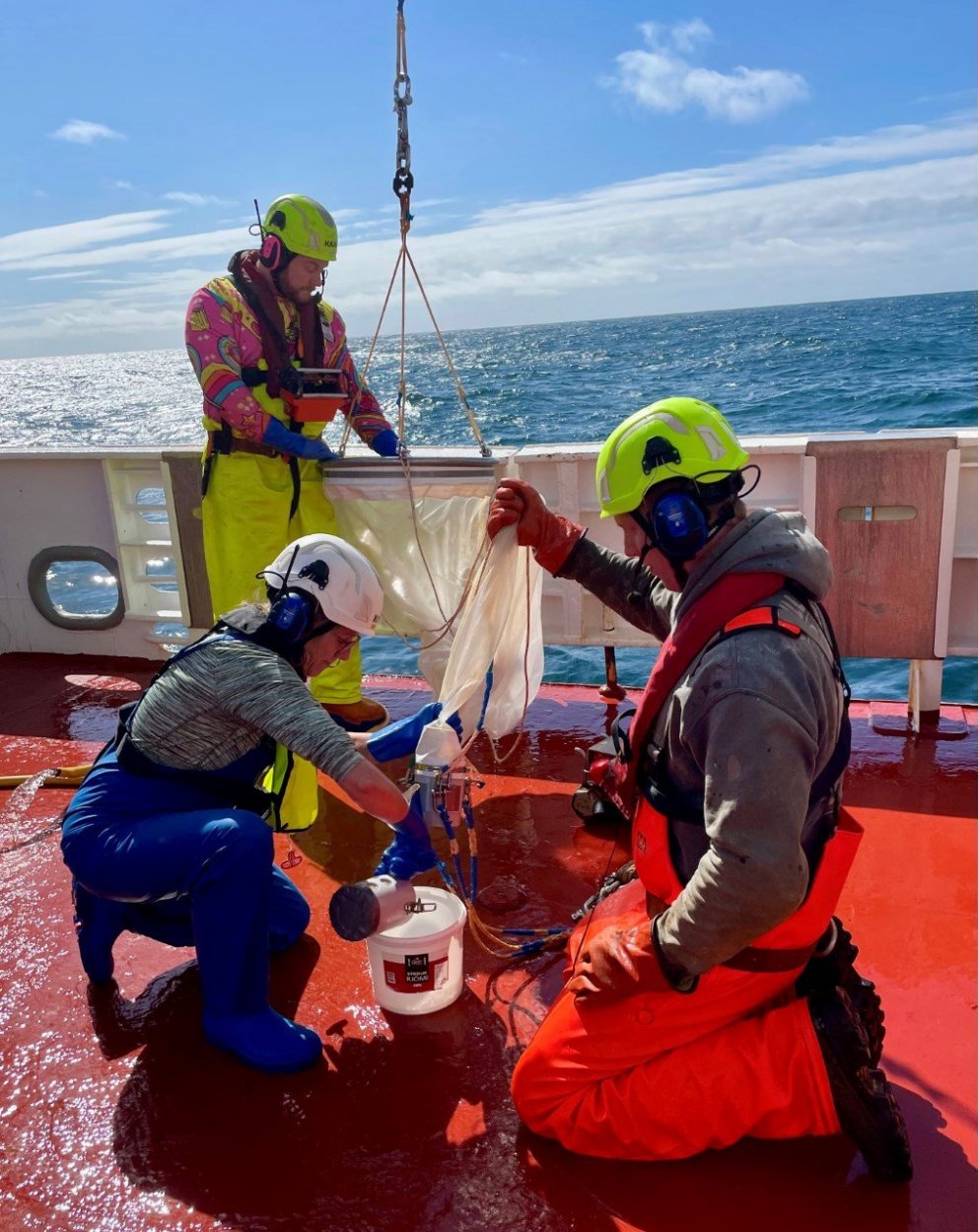 Mynd úr safni Hafrannsóknastofnunar