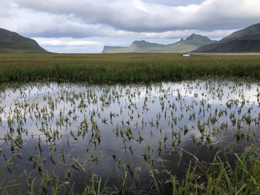 Mynd. Umhverfisstofnun.