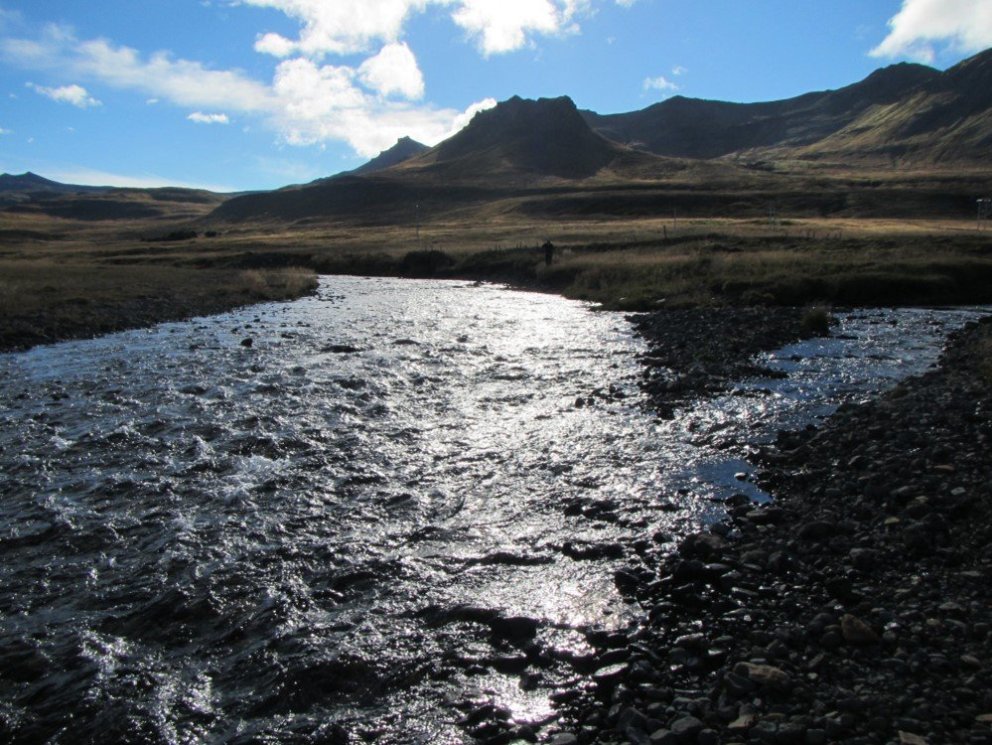 Mynd: Hafrannsóknastofnun