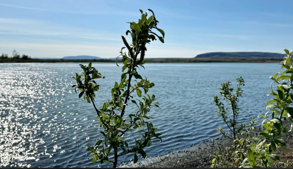 Vatnalíf verður íslenskt heiti LIFE Icewater