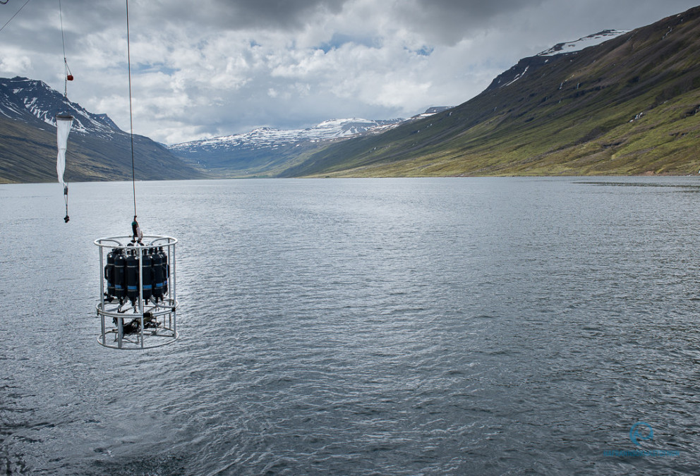Umhverfismælingar í Arnarfirði, Seyðisfirði, Mjóafirði og Norðfirði.