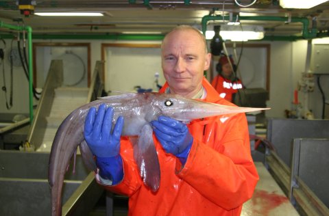 Hróðugur með trjónufisk á djúpslóð í haustralli 2012. Í þessum leiðangri naut Jónbjörn sín vel enda &hellip;