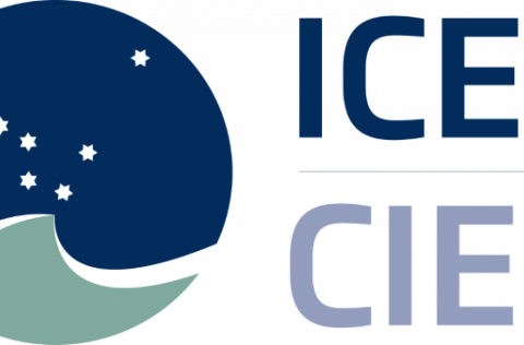 Makrílráðgjöf ICES fyrir árið 2016 endurskoðuð