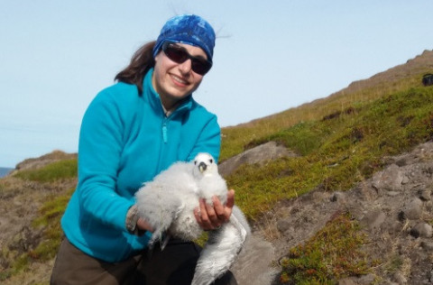 Photo: https://ninadehnhard.wordpress.com/