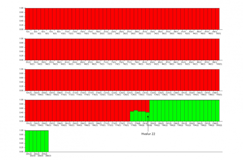 The figure shows the results of that analysis using the analytical tool STRUCTURE. The figure shows …