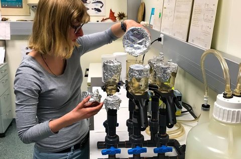 Anne de Vries delivers a lecture at MFRI