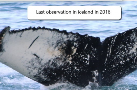 Mynd: Hafrannsóknastofnun